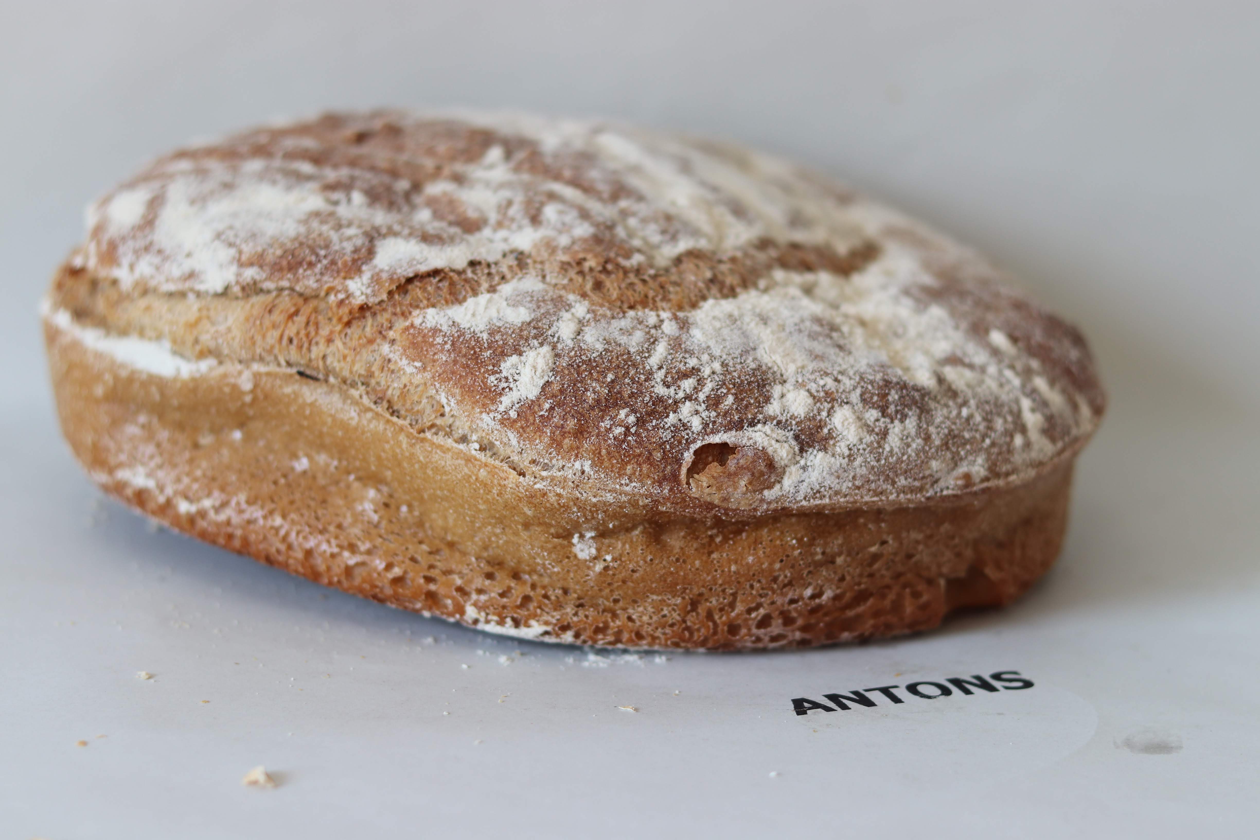 MALTBRØD (økologisk) fra ANTONS • KØB HER